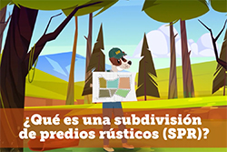 que es spr