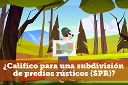 spr califico
