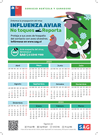 calendario aves de traspatio