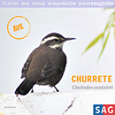 Churrete