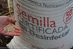 Semillas - Comercio de semillas y plantas frutales