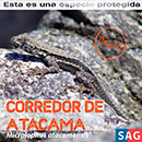 Corredor de Atacama