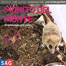 Monito del Monte