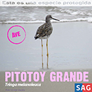 Pitotoy Grande