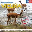 Vicuña