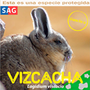 Vizcacha