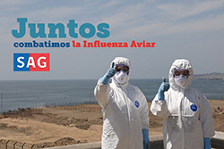 Que es la influenza aviar