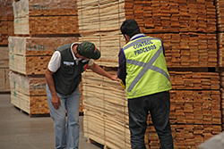 Forestal - Requisitos fitosanitarios por país