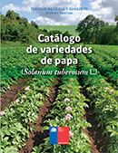 Semilla de papa certificada y corriente