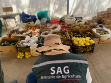 Fiscalización del SAG refuerza control en Terminal Asoagro y sus inmediaciones para evitar la comercialización de productos de riesgo