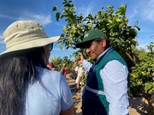 Productores de Arica y Parinacota fortalecen lazos con Tacna para el control de la mosca de la fruta