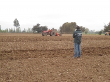 El Servicio Agrícola y Ganadero, (SAG) organismo perteneciente al Ministerio de Agricultura, informó a todos los/as agricultores/as de la Región del Maule que a partir de mañana viernes 10 de enero se encontrarán abiertos un total de ocho concursos del Programa de Recuperación de Suelos, distribuidos en las distintas zonas agroecológicas.