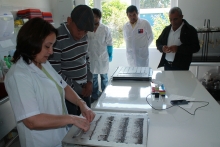 Con el objetivo de constatar en terreno la producción de semillas de papa y papa para consumo, la región de Los Lagos recibió la visita de un grupo de representantes del Ministerio de Agricultura de República Dominicana para conocer en terreno las normativas que regulan el cultivo de estos productos en nuestro país