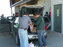 Como cada año, el control fronterizo Jeinimeni de Chile Chico, se prepara durante esta época del año para aumentar su capacidad y dotación de funcionarios del Servicio Agrícola y Ganadero (SAG), Aduanas y PDI, dada la alta demanda que se genera por la celebración de la Fiesta de la Cereza