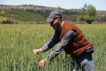 Con el objetivo de recuperar el potencial productivo de los suelos agropecuarios degradados y mantener los niveles de mejoramiento alcanzados, desde el lunes 6 de febrero hasta el próximo 7 de marzo estarán abiertas las postulaciones al concurso del Programa de Recuperación de Suelos del Servicio Agrícola y Ganadero (SAG) en la Región de O´Higgins.