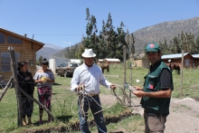 •	La iniciativa tiene como objetivo dar a conocer a las personas las principales características de este animal y las precauciones que se deben adoptar en caso de encontrarse con uno