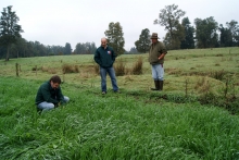 Hasta el 7 de abril medianos y grandes agricultores, además de comunidades indígenas, pueden presentar sus planes de manejo para ser cofinanciados por el Ministerio de Agricultura.