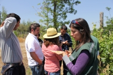 El Control Oficial de Lobesia botrana inició una serie de capacitaciones referentes al monitoreo de dicha plaga, dirigidas a productores de la Región Metropolitana, en una iniciativa que consta de una etapa teórica y otra práctica. 