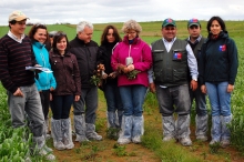 En el marco del trabajo de cuidado y protección de las zonas libres de plagas cuarentenarias de la papa, dos especialistas holandeses en el tema visitaron la región de Los Lagos para dictar diferentes seminarios y compartir experiencias con el fin de establecer nuevas y mejores medidas para enfrentar y contener dicha problemática.