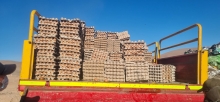 En control carretero en Ujina detectan cargamento ilegal de 72 mil huevos