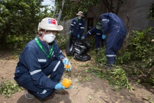 SAG concluye con éxito campaña de erradicación de mosca de la fruta en Las Condes