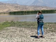 Por 30 años más renuevan la prohibición de caza y captura de fauna silvestre en la cuenca de la laguna Batuco