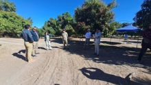 SAG Tarapacá inicia campaña de erradicación en Pica tras detección de ejemplares de mosca de la fruta