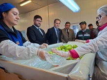 Subsecretario de Agricultura visita sitio de inspección fitosanitaria de Teno para verificar exportaciones hortofrutícolas a EE.UU.