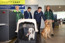 Debido al aumento de viajes con mascotas, el SAG facilita trámites para dueños de perros y gatos