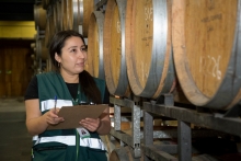 Informe de Producción de Vinos 2026 del SAG muestra un aumento de 13,2 % en la producción de vino a granel