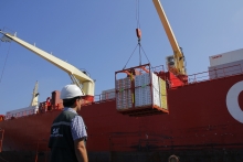 Chile y Japón inician marcha blanca para implementar  certificación fitosanitaria electrónica