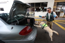 Nuevos guías y perros detectores potencian el trabajo de  la Brigada Canina del SAG