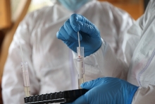 SAG logra en tiempo récord la reapertura de los principales mercados de productos avícolas tras foco de influenza aviar