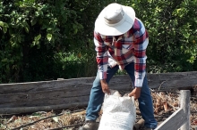 Infórmate de la lista de insumos eliminados por el SAG para uso en agricultura orgánica 