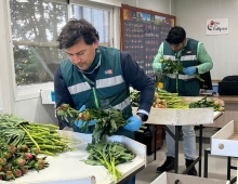 SAG Los Lagos certifica exportación de 23 mil varas de peonías a China