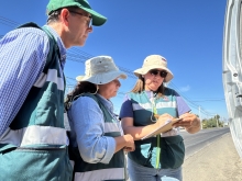 Autoridades supervisan transporte de uva en fiscalización carretera