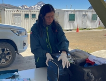 SAG Biobío aumentó intercepción de productos silavoagropecuarios en control fronterizo Pichachén