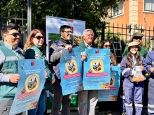 SAG RM refuerza campaña de erradicación de Mosca de la Fruta en 16 comunas de la región