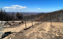 SAG Biobío llama a afectados por incendios forestales a  postular concurso regional de emergencia del programa SIRSDS