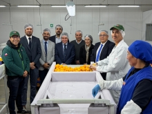 SAG y Frutas de Chile dan inicio en Coquimbo a la temporada de exportaciones de cítricos a Estados Unidos 