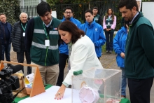 SAG y Municipio de Las Condes refuerzan trabajo conjunto para eliminar foco de mosca de la fruta