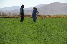 Funcionario SAG explicando a agricultura los beneficios SIRSD-S