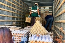 SAG Tarapacá suma cerca de 500 fiscalizaciones contra el contrabando agropecuario