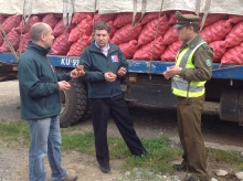  Como resultado de una fiscalización carretera nocturna realizada por el Servicio Agrícola y Ganadero (SAG) de la Región de Los Ríos junto a Carabineros de Chile el pasado 22 de noviembre, se logró decomisar 12 toneladas de papa que intentaban ser comercializadas de forma ilegal en el área libre de plagas cuarentenarias de papa.