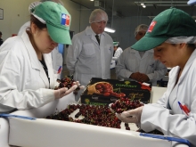 Aníbal Ariztía, Director Nacional del Servicio Agrícola y Ganadero (SAG), visitó el Sitio de Inspección Fitosanitaria Teno durante su estadía en la región del Maule con el fin de recorrer sus instalaciones y verificar las labores de inspección que realizan en conjunto entre el SAG y la Asociación de Exportadores ASOEX