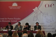 El Dr. Víctor Ramírez Arias, Jefe de la División de Protección Pecuaria del SAG y Delegado de Chile ante la OIE, junto con el punto focal de la OIE para Bienestar Animal de Chile, Dr. Leopoldo Stuardo, participaron en la conferencia Internacional de la OIE sobre Bienestar Animal y Comercio en las Américas, realizada los días 17 y 18 de octubre en Uruguay.