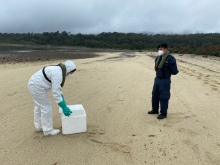 SAG Los Lagos anuncia levantamiento de 4 zonas que se mantenían bajo control sanitario