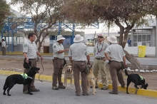 SAG Atacama preparado para recibir  a turistas y competidores del Dakar 2013